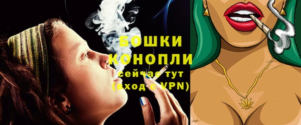 индика Балабаново