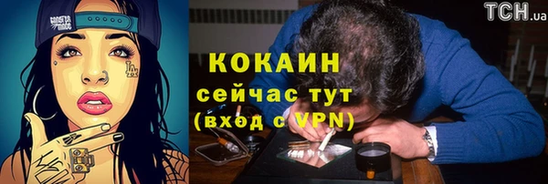 индика Балабаново