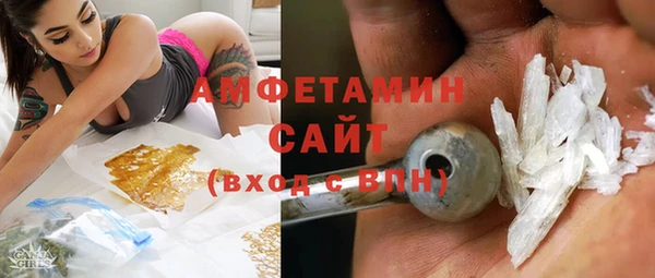 индика Балабаново