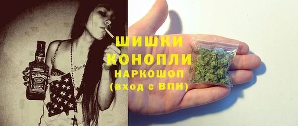 индика Балабаново