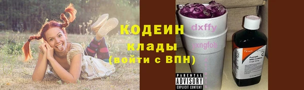 индика Балабаново