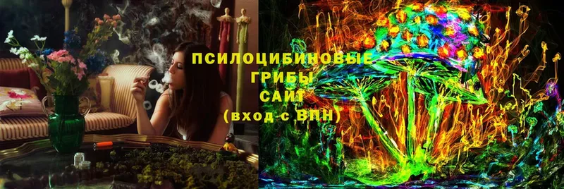 Галлюциногенные грибы GOLDEN TEACHER  Верхний Тагил 